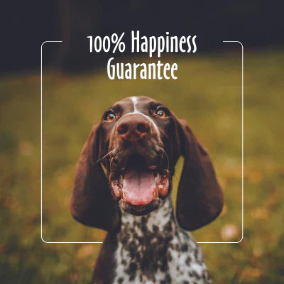 Earthbath Ear Wipes with Witch Hazel & Chamomile for Dogs and Cats