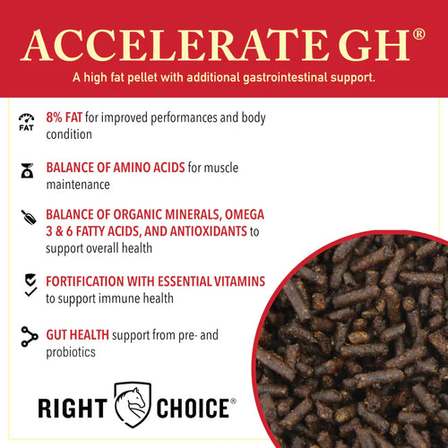 Kalmbach Accelerate GH®