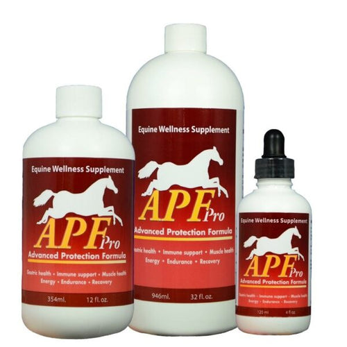 Auburn Labs APF Pro Wellness Equine Advanced Protection Formula