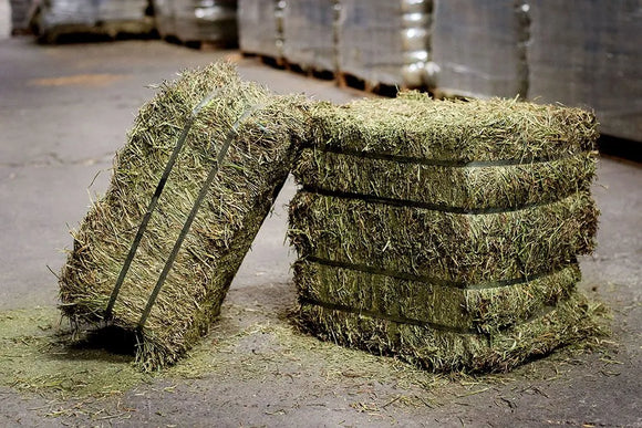 Semican Compressed Alfalfa Bales