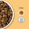 ACANA Wholesome Grains Free-Run Poultry & Grains Recipe Dry Dog Food