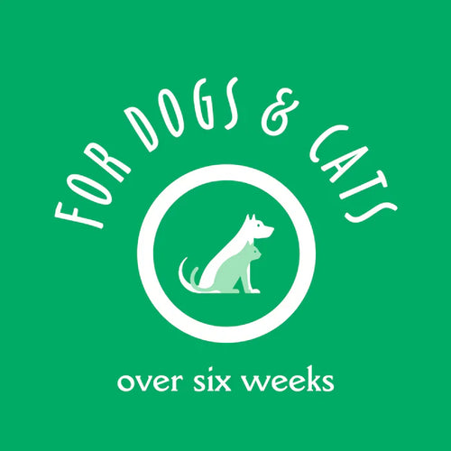 Earthbath Foaming Facial Wash for Dogs & Cats