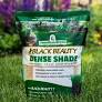 Jonathan Green Black Beauty® Dense Shade Grass Seed