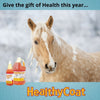 HealthyCoat Liquid Feed Supplement for Your Horses