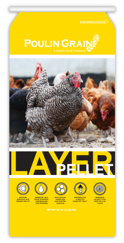 Poulin Grain Premium Layer Pellet