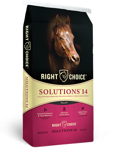 Solutions® 14 Pellet Horse Feed