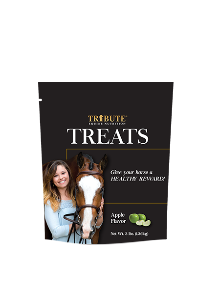 Tribute® Apple Horse Treats