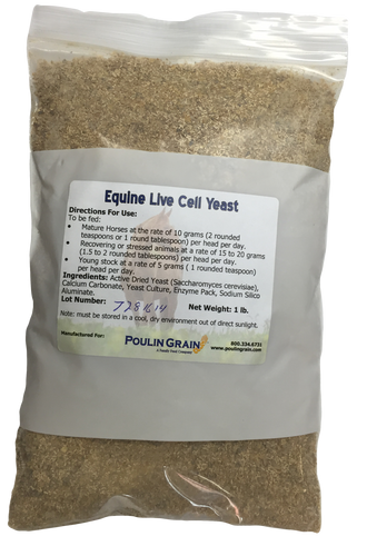 Poulin Grain Equine Live Cell Yeast