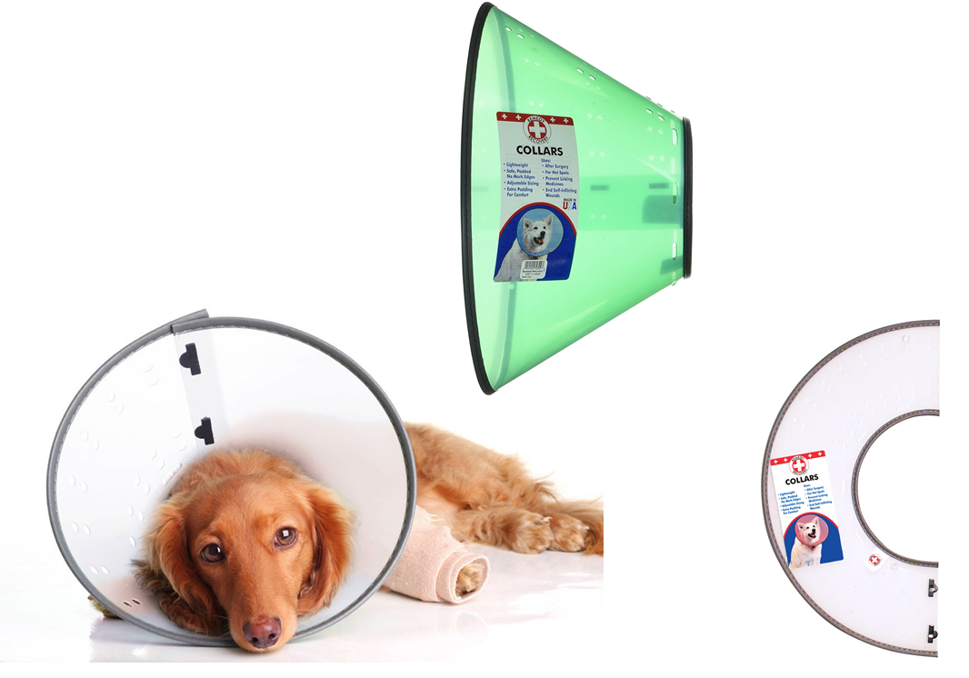 Remedy Recovery E-Collars - Malta, NY - Malta Farm & Garden