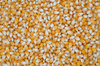 Poulin Grain Whole Corn