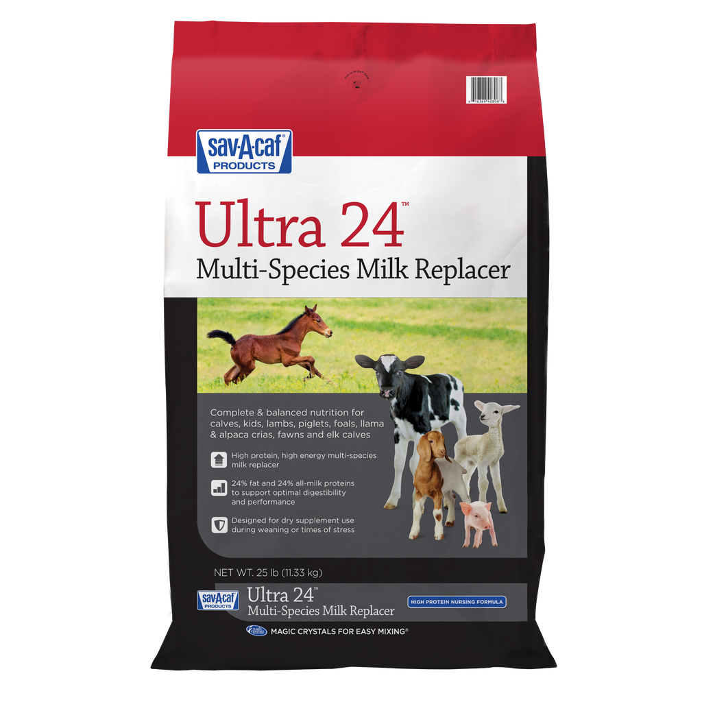 Sav-A-Caf Ultra 24™ Multi-Purpose Milk Replacer - Malta, NY - Malta ...