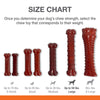 Nylabone Power Chew Basted Blast Dual Flavored Dog Chew Toys