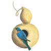 Botanical Interests Birdhouse Hard-Shelled Gourd Seeds
