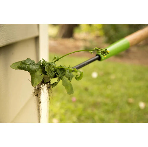 Ames Forged Dandelion Weeder