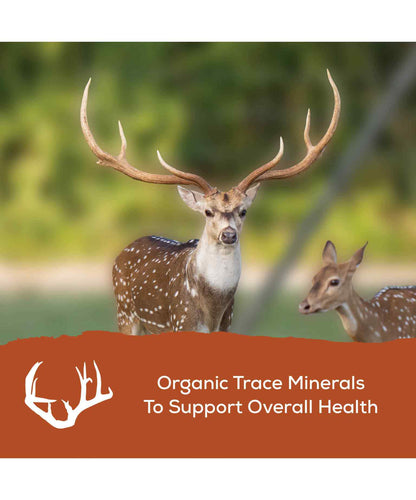 Record Rack® Antlers Plus Deer and Exotics