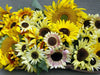 Renee’s Garden Scatter Gardens Heirloom Summer Garden Dancing, Joyous Sunflowers