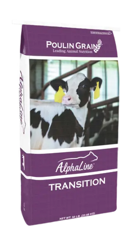 Poulin Grain AlphaLine Transition Heifer Pellet