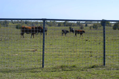 OK Brand Wire Max 50 10-Line Cattle Panel