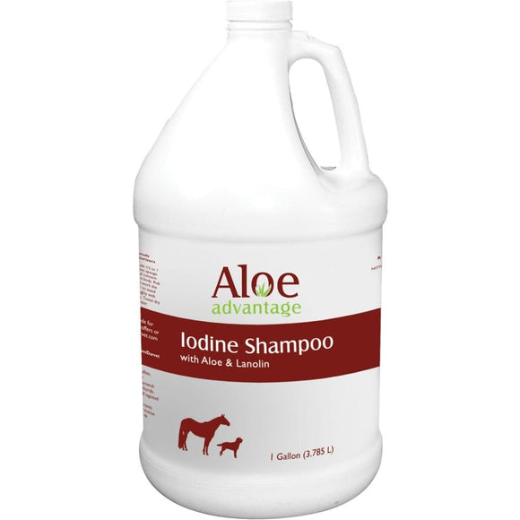 ALOE ADVANTAGE IODINE SHAMPOO